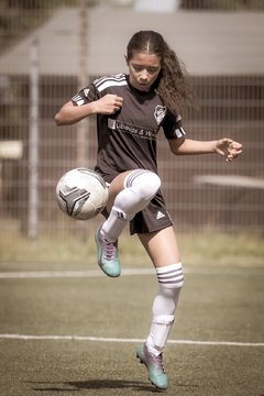 Bild 741 - wCJ SC Ellerau - St. Pauli : Ergebnis: 2:2